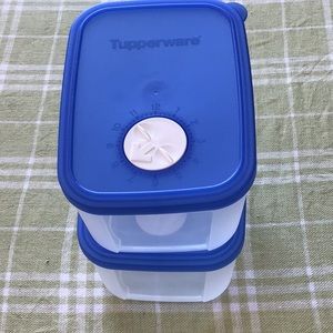 Tupperware FreezeSmart Containers